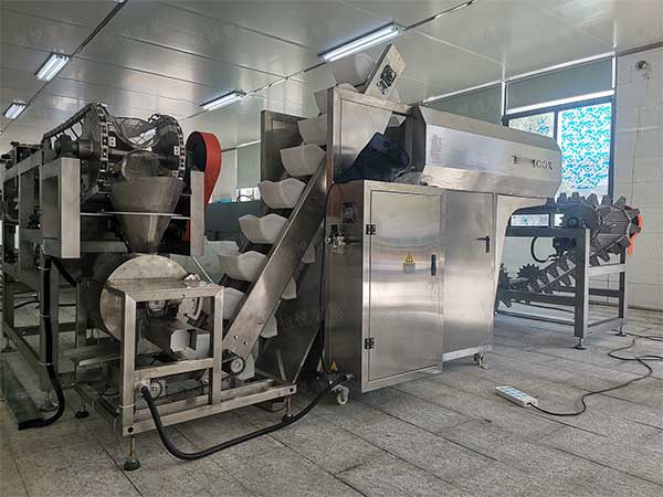 米線濕粉條包裝機(jī)，鮮濕粉專用